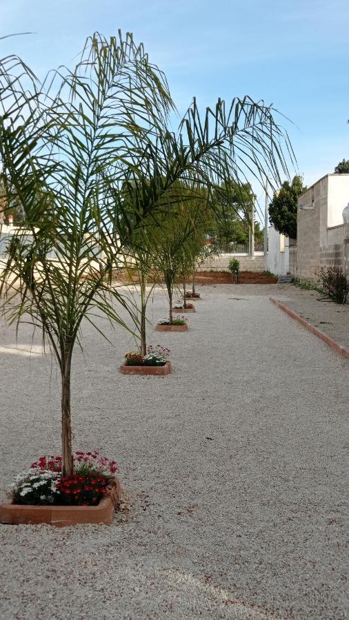 Villa Angela Chiara Porto Cesareo Zewnętrze zdjęcie